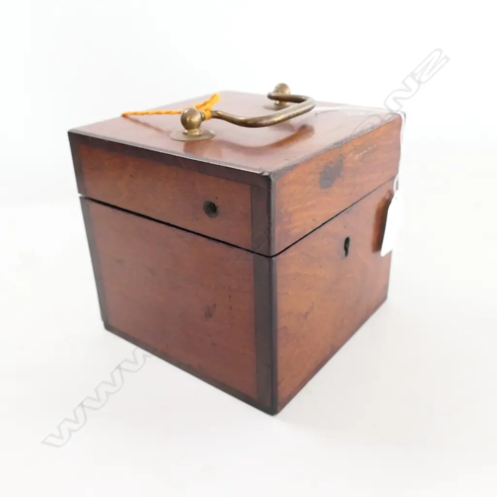 ELECTROTHERAPY DEVICE, PROBABLY VARNEYS 'LIFE INVIGORATOR' c.1900. IN MAHOG BOX 130 x 130 x 120mm Image 1++
